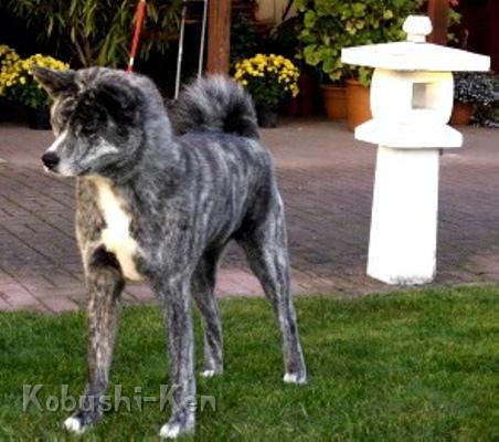 1November 2007.JPG - November 2007